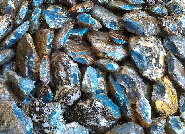 Blue amber lot