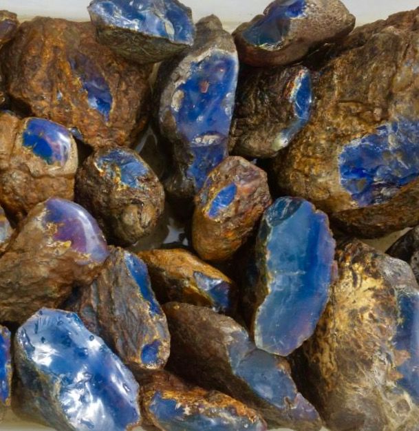 Blue amber lot